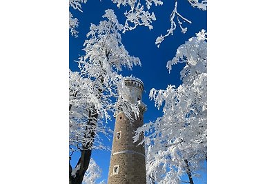 Vakantieappartement Gezinsvakantie Ilmenau