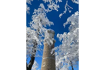 Appartamento Vacanza con famiglia Ilmenau