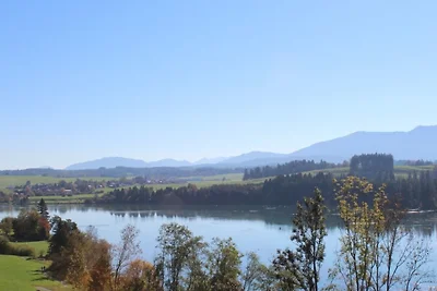 Ferienhaus Nr. 41, Kategorie