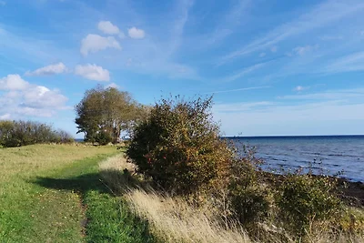 Vier Jahreszeiten I / 50