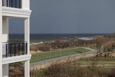 Aparthotel Waterkant Suites, Suite