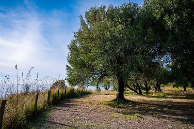 Vakantiehuis Ontspannende vakantie Salerno