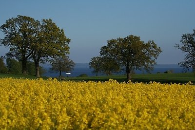 Bellevue rechts