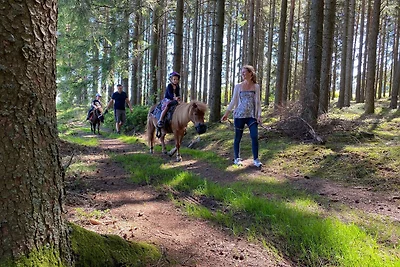 Ferienhof Gerda - Ferienwohnung