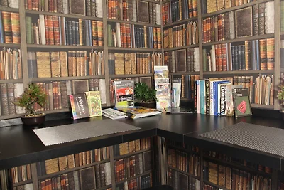 Bed in 6-Bed Female Dormitory Room