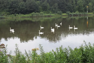 Vakantieappartement Gezinsvakantie Bornholt