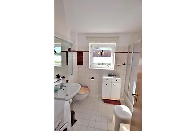 Sanddorn Ostseering 4C