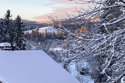 Vakantieappartement Gezinsvakantie Falkau