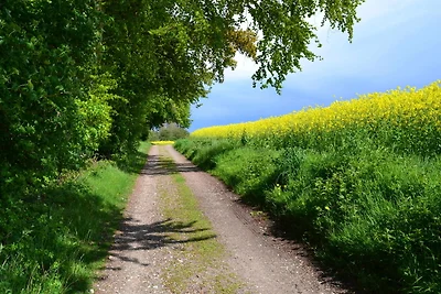 Vakantieappartement Gezinsvakantie Barkelsby