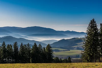Appartamento Vacanza con famiglia Feldberg