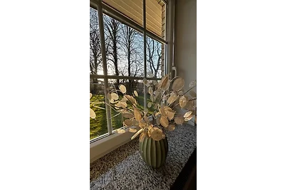 Ferienhaus Ute
