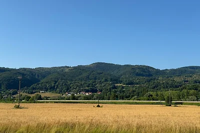 Vakantiehuis Ontspannende vakantie Slovenië