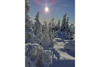 Vakantieappartement Gezinsvakantie St. Oswald
