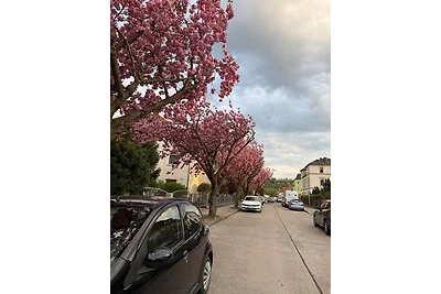 Maison de vacances Vacances relaxation Dresde & Environs