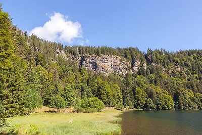 Appartamento Vacanza con famiglia Höchenschwand