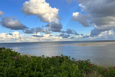 Ferienwohnung Oberdeck
