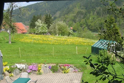 Appartamento Vacanza con famiglia Gutach