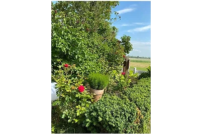 Appartment 880 in Burhave