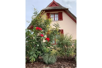 Reethaus "Lütt Seeadler"