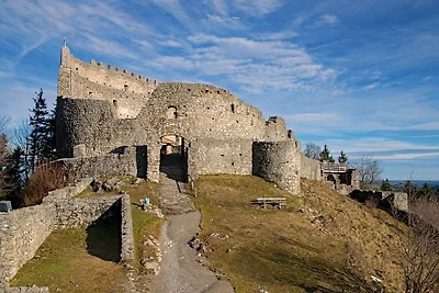 Ferienhaus Nr. 76, Kategorie