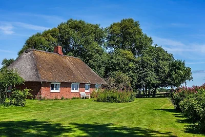 Ferienhaus Reetsommer