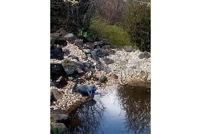 Ferienhäuser Am Eichenberg, Haus 1