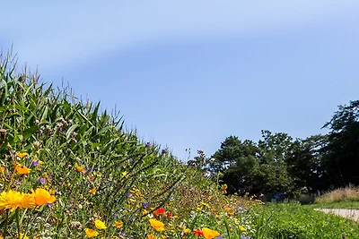 Vakantieappartement Gezinsvakantie Burg auf Fehmarn