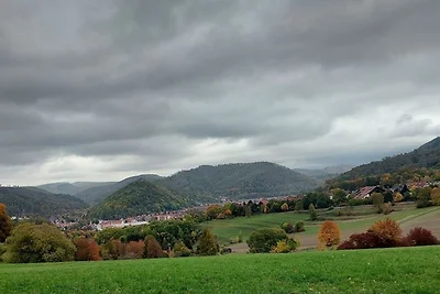 OK-Ferienwohnung Bad Lauterberg