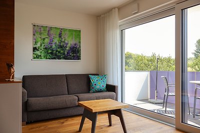 Vakantieappartement Gezinsvakantie Wasserburg,Bodensee