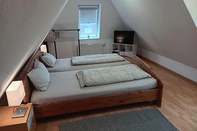 Apart Heringsmöwe