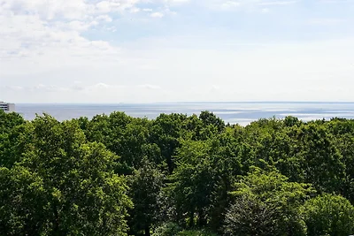 Dünenlicht