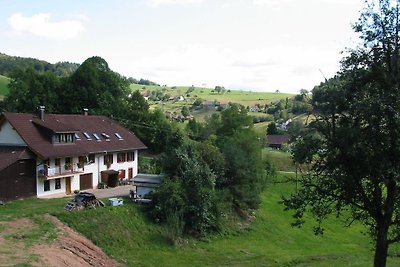 Vakantieappartement Gezinsvakantie Kleines Wiesental