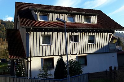 Vakantieappartement Gezinsvakantie Schönau im Schwarzwald