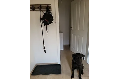 Lanckensburg Fewo2 - Sylvia