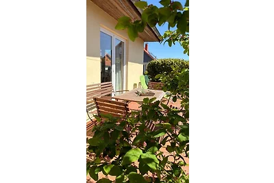 Ferienhaus Möwenkoje