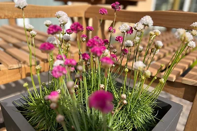 Vakantieappartement Gezinsvakantie Grömitz