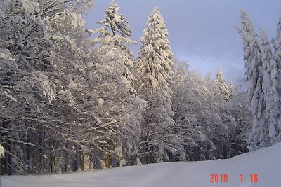 Vakantieappartement Gezinsvakantie St. Oswald