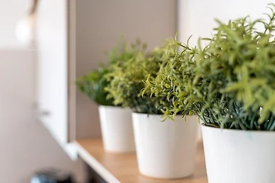 Ferienwohnung Zwischen den Seen