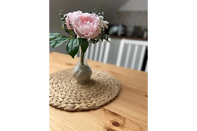 FeWo Krems "Waterkant" Steinhude