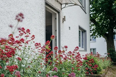 Hof Timmermann - Bienenstock