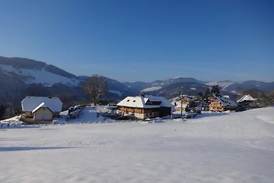 Vakantieappartement Gezinsvakantie Fröhnd