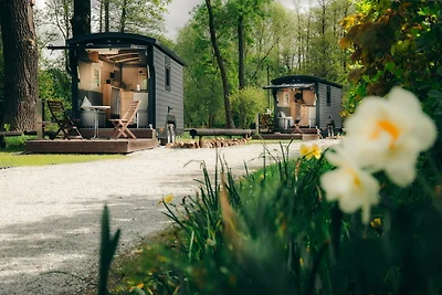 Camping-Lodge für 2 Prs.