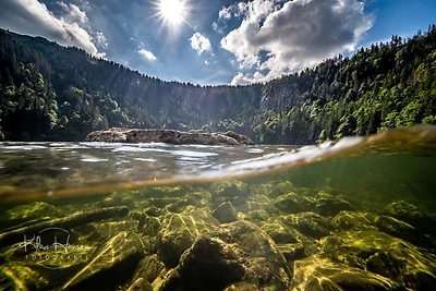 Ferienhaus Dresselbach - Wohnung 03