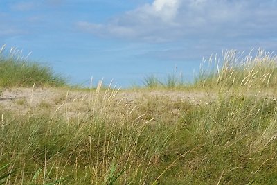 Vakantieappartement Gezinsvakantie Behrensdorf