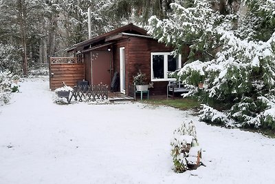 Vakantiehuis Ontspannende vakantie Petershagen