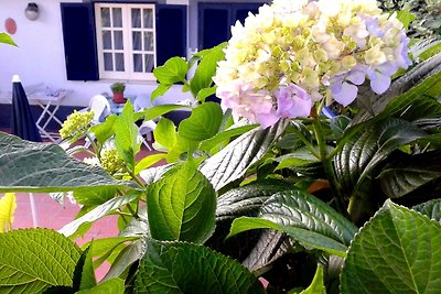 Apartamento Vacaciones familiares Barano