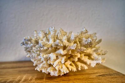 Haus Hanseatic, App. 3SC518