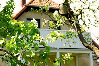 Ferienwohnung Rohlffs