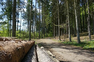 Vakantiehuis Ontspannende vakantie Kirchheim