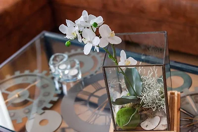 at Home im FIRST Sellin